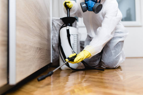 Best Mosquito Control Services  in Spanish Fort, AL