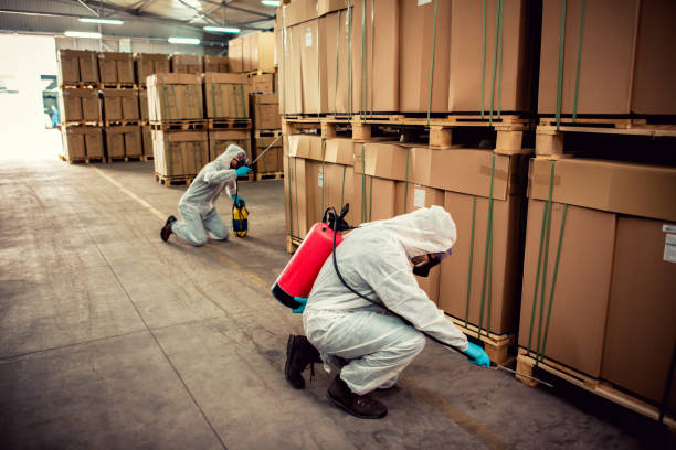 Best Bed Bug Extermination  in Spanish Fort, AL