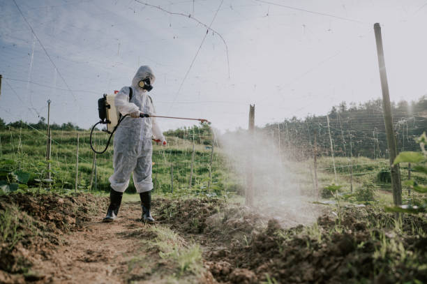 Best Pest Control for Businesses  in Spanish Fort, AL