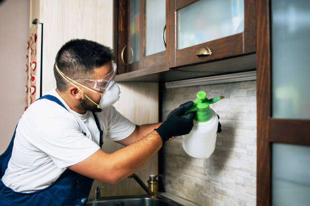 Pest Prevention Services in Spanish Fort, AL