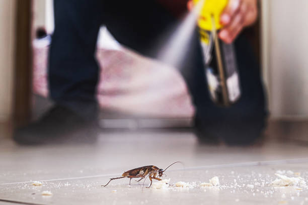 Best Pest Removal Services  in Spanish Fort, AL
