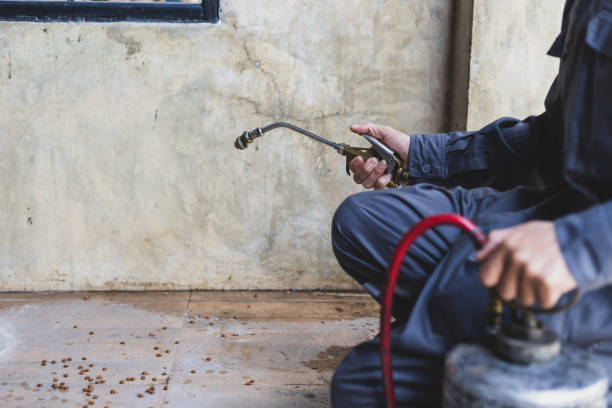Best Pest Control Near Me  in Spanish Fort, AL