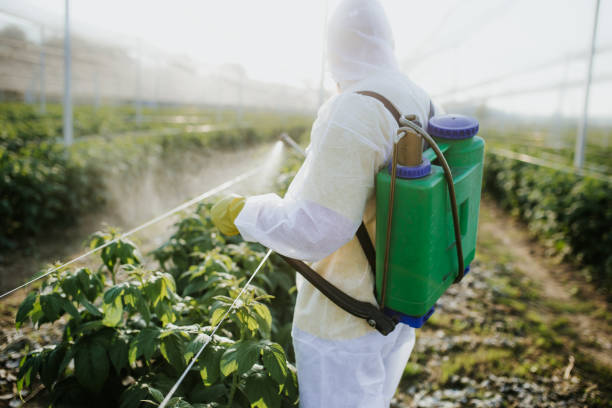 Best Termite Control Services  in Spanish Fort, AL